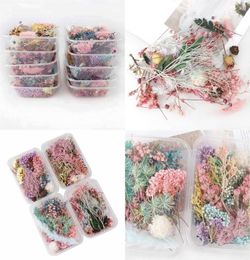 1 Box Real Dried Flower Dry Plants For Aromatherapy Candle Epoxy Resin Pendant Necklace Jewelry Making Craft DIY Accessories 1309 3946024