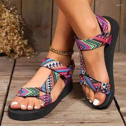 Sandals Women Print Random Flats Casual Shoes Walking Beach Slippers Summer Flip Flops 2024 Fashion Dress Mujer Zapatos Slides