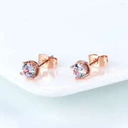 Stud Earrings Fashion Zircon Crystal For Women Wedding Gift Rose Gold Color Statement Earring Jewelry DWE859M