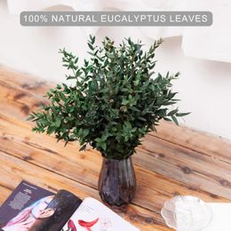 Decorative Flowers Dried Eucalyptus Stems - Real Preserved Fresh Plant For Arrangement Wedding Home Decor Shower Green Decorations
