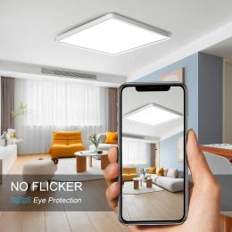 LED Ceiling Lamp Silvery Tuya Smart App Voice Control Alexa/Google Remote Control Square Ceiling Lights For Living Room Bedroom
