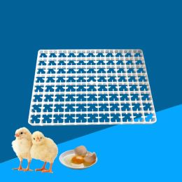 1Pcs Egg Tray For Incubator Automatic Goose Pigeons Duck Quail Egg China Incubadora Parts Poultry Farming Accessories Supplies