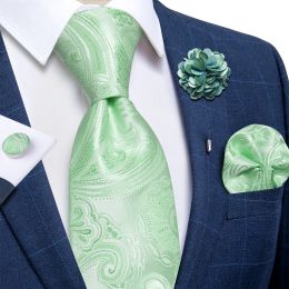 2023 New Classic Green Blue Paisley Silk Ties For Men Handkerchief Cufflinks Brooch Pin Wedding Accessories Men Gift Dropship