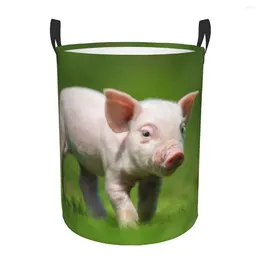 Laundry Bags Folding Basket Cute Pig On The Grass Round Storage Bin Large Hamper Collapsible Clothes Toy Bucket Organizer