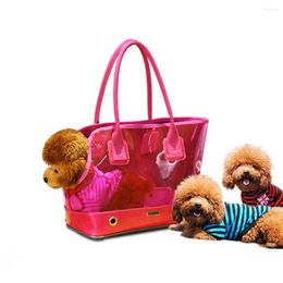 Cat Carriers Transparent One Shoulder Bag For Pet Breathable Simple Portable Wholesale Stock Products Supplies