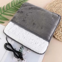 Carpets 2 In 1 Foot Warming Mat USB Charging Double-Side Heated Electric Heating Pad Washable Convenient Cushion Home