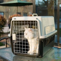 Cat Carriers Air Transport Box Sky Kennel Two-Door Top-Load Hard-Sided Pet Travel Carrier PVC For Small Dogs Cats And Other Animals