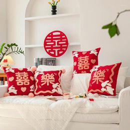 Pillow Chinese Year Cover 45 Character Cartoon Embroidered Throw Festive Decorations