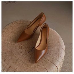 Dress Shoes Luxury pump shoes womens high heels slim sandals party offices 2019 Elegant brown small sexy H2404031IWH