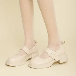 Casual Shoes Mary Jane Thick Heeled Female 2024 Spring Round Head Student Japanese British College Style Small Leather