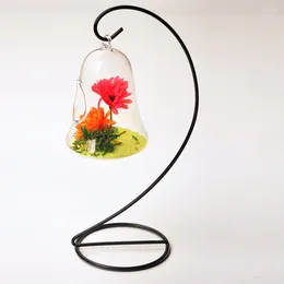 Vases 1Set Transparent Glass Vase Creative Bell Fruit Bulb Shape Hydroponic Plant Flowerpot Flower Arrangement Bonsai Home Decor Gifts
