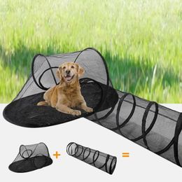 Cat Carriers Tunnel Tent With Tunnels For Indoor & Outdoor Cats Portable Pet Playpen Enclosures Playground Small Animals