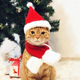 Dog Apparel Cat Santa Hat With Scarf -Christmas Costume Set Puppy