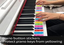 49 61 88 Keys Electronic Piano Keyboard Sound Name Stickers Key Sticker Piano Stave Music Decal Label Note Sticker9102620