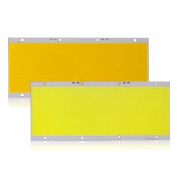 12 V 200W Superhelle Cob -LED -Panel Light 225x95mm warmes weißes weißes weißes LED -Lampe für DIY Outdoor -Autobeleuchtung 972 LED -Chips