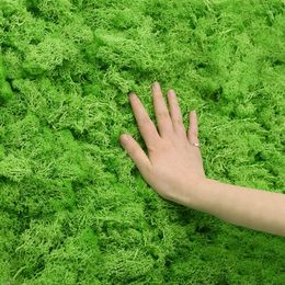 Bedding Sets 20/40g Natural Eternal Life Green Moss Artificial Plant For Home Garden Lawn Decor Grass DIY Micro Landscape Flowers