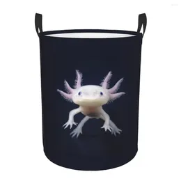 Laundry Bags Folding Basket Axolotls Dirty Clothes Toys Storage Bucket Wardrobe Clothing Organiser Hamper