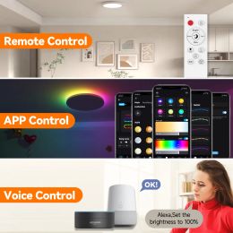 Gotobe Smart WiFi 30W Led Ceiling lamp 100-240V RGBIC CCT Remote APP Voice Control Alexa Google Lights For Home Room Decor Light