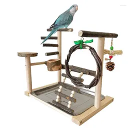 Other Bird Supplies Playground Bite Resistant Cage Birds Toy Ladder Climbing Swing And Tray For Cockatiels Parrots Budgies