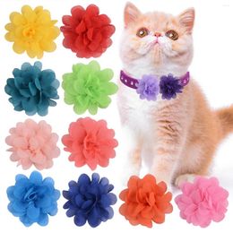 Dog Apparel 50/100pcs Flower-Collar Slidable Pet Bowties Chiffon Collar Accessories Cat Products