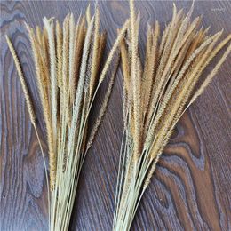 Decorative Flowers 50pcs Kirin Grass Dried Dry Pampas For Wedding Party Decorations Bouquet Gift Arrangement Living Room Home Decor