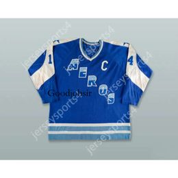 Gdsir Custom TED TAYLOR 14 WHA HOUSTON AEROS BLUE HOCKEY JERSEY NEW Top Ed S-M-L-XL-XXL-3XL-4XL-5XL-6XL