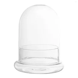 Vases Plant Protector Cover Plastic Cloche Dome Terrarium Bell Jar Bottle For Garden