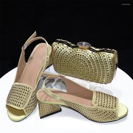 Dress Shoes Latest Design African Rhinestone And Matching Bag Set Coming Sandals Woman Pumps For Party