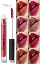 cmaadu 15 Colours Matte Liquid Lipstick Waterproof Makeup Cheap Silky Lip Gloss Lips Tint Cosmetics Lip gloss Make up Mist Lip Stic9671561