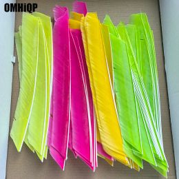 100Pcs18-25cm Full Length No Cut Turkey Arrow Feathers Arthery DIY Hunting Accessories Archery Fletching Right Wing Vanes