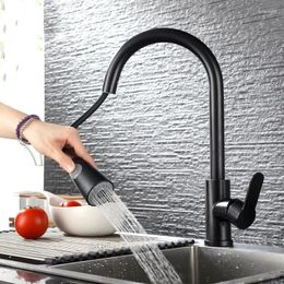 Kitchen Faucets Faucet 304 Stainless Steel Black Paint Washing Basin Sink Cold And Mixing