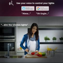 Tuya Akıllı Ampul E27 WiFi/Bluetooth Dimmable LED Ampul RGBCW 100-240V Akıllı Yaşam Uygulama Kontrol Desteği Alexa Google Home Home