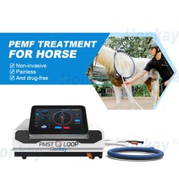 PMST Loop Rehabilitation Machine PEMF Pulsed Eletromagnetic Feild Magnetic Therapy Equipment for Horse Pain Relief Sport Injury Recovery and Human Health Care