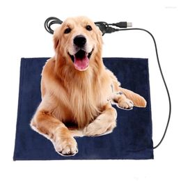 Carpets 5V USB Heating Mat Pet Winter Plush Pads Warmer Bed Pad Electric Clothes Sheet