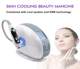 Portable Electroporation Mesoporation cryo skin cooling RF mesotherapy system facial machine2450458