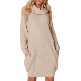 Casual Dresses Winter Warm Turtleneck Loose Sweater Dress Women Autumn Full Sleeve Solid Long Knitted Female Pokcet Pullover Vestidos