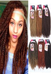 Afro culry Marley Braids Crochet Braiding Hair Colour black brown blonde Ombre Burgundy Kanekalon Synthetic Kinky Curly Hair 8875433