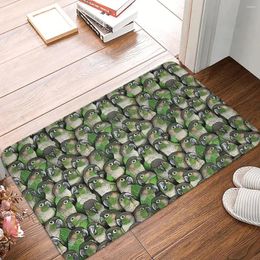 Carpets Non-slip Doormat Green-cheeked Conures Carpet Bath Bedroom Mat Outdoor Flannel Decorative
