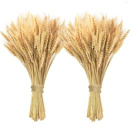 Decorative Flowers 100Pcs Dried Wheat Stalks Natural Flower For Home Kitchen Arrangement Wedding Table Christmas Fall Decor