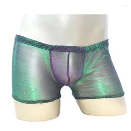 Underpants Green Shiny Change Colour Men Boxer Shorts Fashion Lace Sexy Gauze Low Waist Knickers Exotic Comfortable Panties