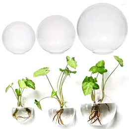 Vases Simple Transparent Glass Wall Flower Pot Creative Semi Circular Vase 8/10/12/13/15cm Plant Container Living Room Decorations