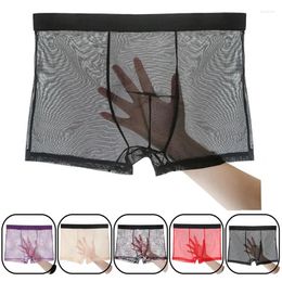 Underpants Mens Underwear Ultra-thin Transparent Boxershorts Male Mesh Slips Homme Panties Boxer Shorts Comfortable Men's