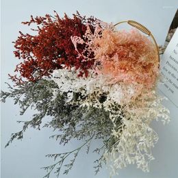 Decorative Flowers 70g Dried Eternal Limonium Preserved Lover Grass Bouquet Living Room Garden Decoration Valentine's Wedding Party Decor