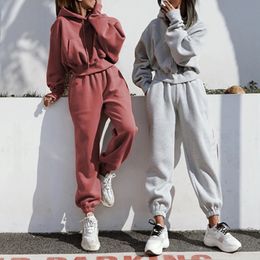 Ladies Hooded Sweater Baggy Pants Women Long Sleeve Pullover Casual Elastic Waisted Loose Fit Oversized Daily Outfit 240326