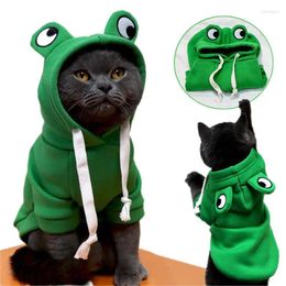 Dog Apparel Pet Clothing Autumn And Winter Frog Cat Small Medium-sized Hooded Sweater Fleece