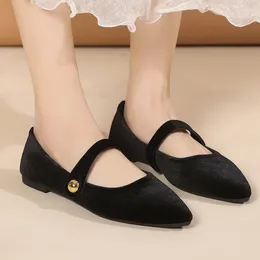 Casual Shoes Ladies On Sale 2024 Fashion Shallow Women Flats Autumn Pointed Toe Suede Solid Flat Comfortable Office