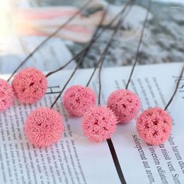 Decorative Flowers Dandelions Flower Ball Simulation Artificial Fake Po Props Wedding Holding Never Fade SUB Sale