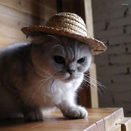 Dog Apparel Unique Pet Supplies Mini Dogs Straw Hat Cat Sun Beach Party Hats Hawaii Style For Funny Accessories