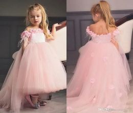 Blush Pink Princess Flower Girls Dresses Beaded Appliques Girl Dress For Wedding Party Birthday Party Dresses Baby Pageant Gowns C2022037