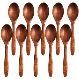 Coffee Scoops 10 Pcs Tea Spoons Compact Salt Seasoning Small Wooden Kitchen Supplies Convenient